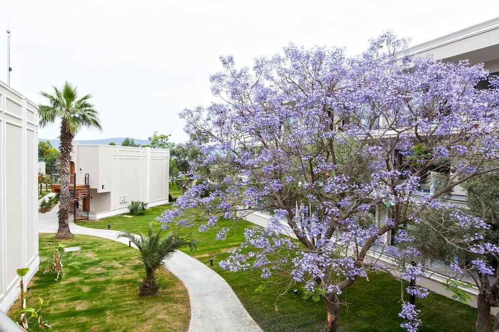Aurum Didyma Spa & Beach Resort Akbük Εξωτερικό φωτογραφία
